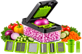 14-in-1 vegetable chopper and slicer